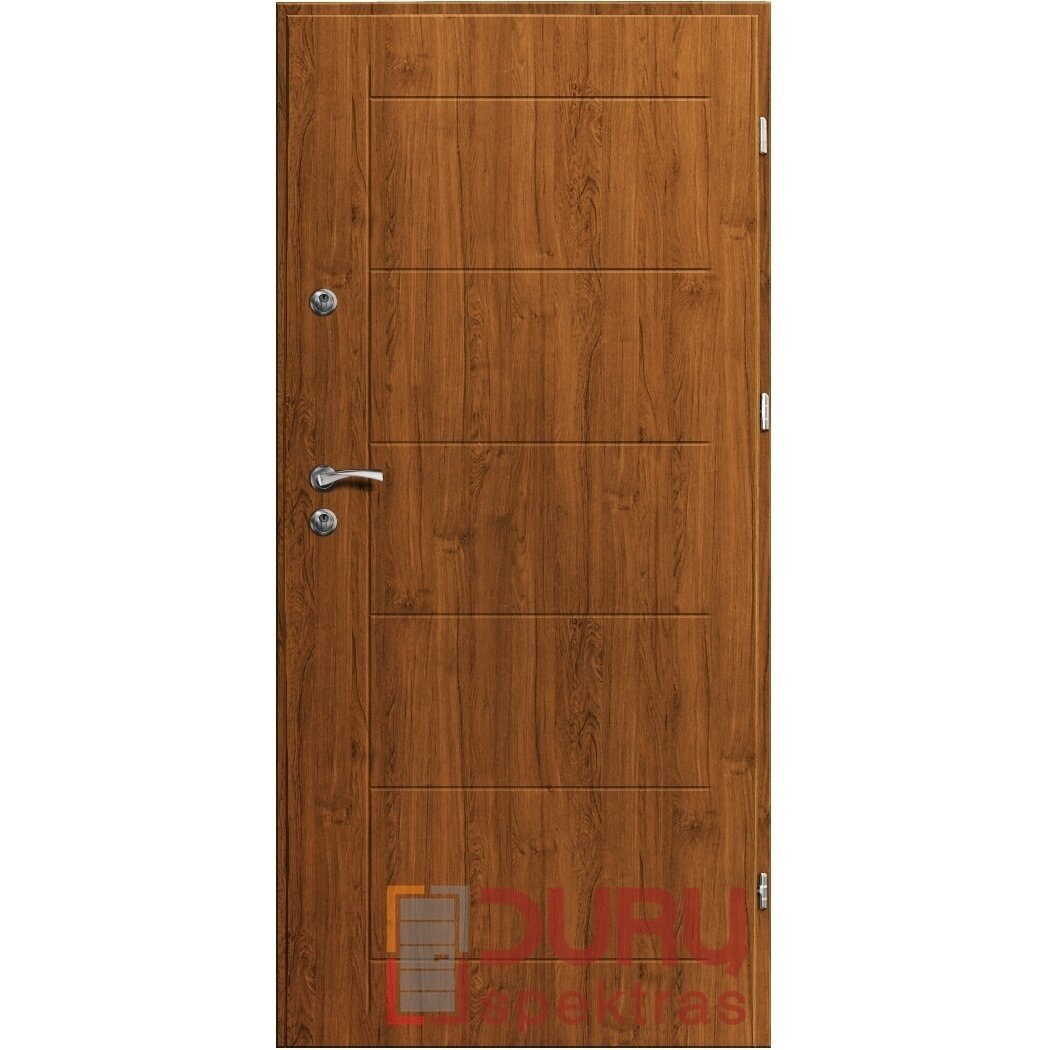 Lauko durys Premium T41-55 1