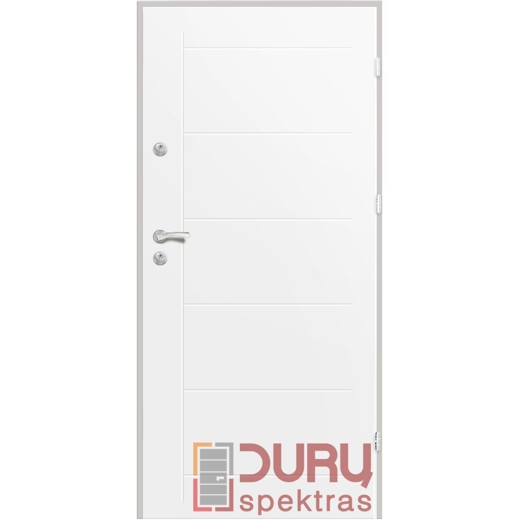 Lauko durys Premium T41-55 2 Lauko durys Premium T41-55 2