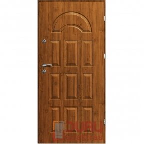 Lauko durys Premium T20-55