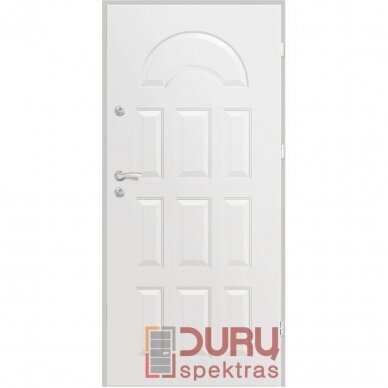 Lauko durys Premium T20-55 3