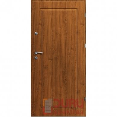 Lauko durys Premium T21-55 2