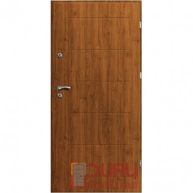 Lauko durys Premium T41-55 1
